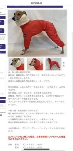 2026年最新】イタグレスノースーツの人気アイテム - メルカリ