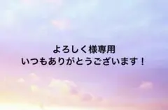 よろしく様 リクエスト 2点 まとめ商品