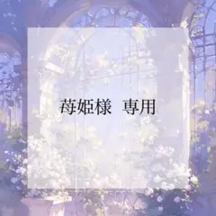 プレインシート 専用