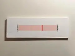 スポーツループ 40mm