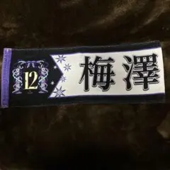 梅澤美波 マフラータオル Amazon.co.jp: 乃木坂46 梅澤美波 推しメンマフラータオル 6th