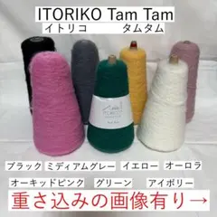 インディアンコーン ルビーレッド TOKA - メルカリ