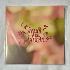 スタフォニ Starry symphony Super bloom パンフレット