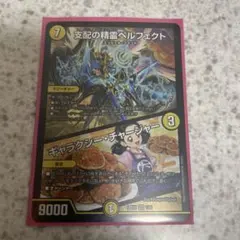 支配の精霊ペルフェクト