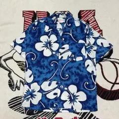 60s Momi アロハシャツ ハワイ製 ヴィンテージ 古銭ボタン L相当 60s Momi アロハシャツ ハワイ製 ヴィンテージ 古銭ボタン L相当