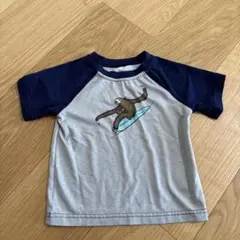 patagonia スロースサーフィン Tシャツ 12-18M 70 80