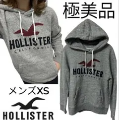 極美品　ホリスター　フロントロゴ　裏起毛　パーカー　XS グレー