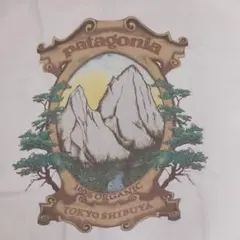 スマッシング・パンプキンズ メロンコリー30周年限定 Tonight Tシャツ