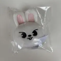 2026年最新】straykids skzoo マグネットの人気アイテム - メルカリ