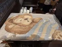 新品タグ付　ニットブランケット　ダッフィーアンドフレンズ　ジェラートピケ