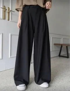 ブラック ワイドパンツ プリーツ入り ハイウエスト