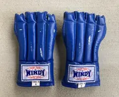 WINDY オープンフィンガーグローブ　Sサイズ　ブルー系のサムネイル