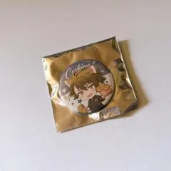 アイナナ ムビナナ UR 十龍之介 缶バッジ - メルカリ