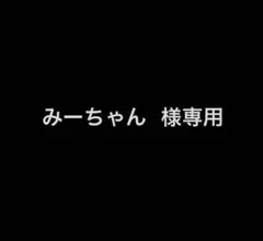 みーちゃん様専用ページ