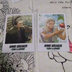 WINDBREAKER 不良たちの英雄譚 ポラロイドカード 梅宮 柊