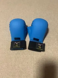 空手拳サポーター　青色　Mサイズ