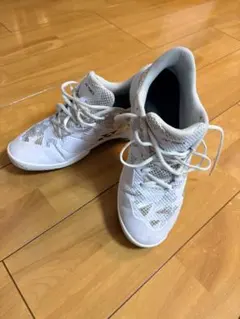 パワークッション 65Z SHB65Z3 ホワイト×ブルー 23cm - メルカリ