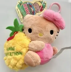 希少レア　ハローキティ　ハワイ　ぬいぐるみ　パイナップル　2005 サンリオ 希少レア ハローキティ ハワイ ぬいぐるみ パイナップル 2005