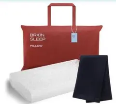 【美品】BRAIN SLEEP PILLOW STANDARD＋ピローカバーのサムネイル