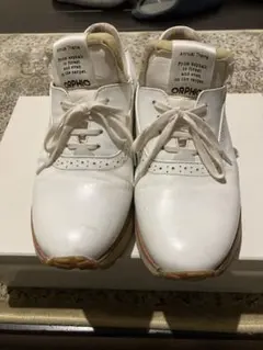 Item thumbnail for item 2a74f12d-fe4c-4021-a454-d108e72cca3a