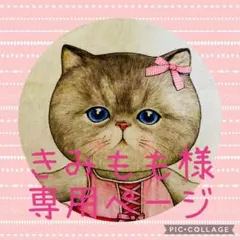 きみもも様専用ページ