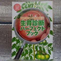 フェネ様 リクエスト 2点 まとめ商品
