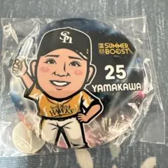 福岡ソフトバンクホークス 山川穂高 缶バッジ