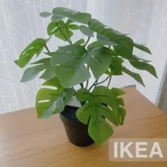 【新品 】イケア IKEA フェイクグリーン モンステラ（フェイカ）人工観葉植物のサムネイル