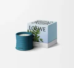 箱破損有り…未使用品 LOEWE ロエベ アイビー ワックス キャンドル アイビー ワックス キャンドルホルダー ピンク - LOEWE