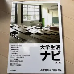 Item thumbnail for item 419a5365-a82d-40a5-bc87-b89c8313ce0b