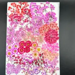 Item thumbnail for item cd3d18bc-5641-4510-87a2-de295fd680cb