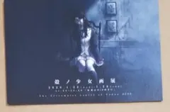 Innocent Grey 白夜 公式図録 殻ノ少女　画集 杉菜水姫　直筆サイン Innocent Grey 画展 白夜 図録 杉菜水姫 直筆サイン入り - メルカリ