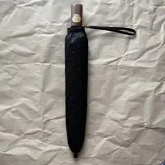 Item thumbnail for item df9d26cc-71b6-4c51-89b9-a8552d8d01dd