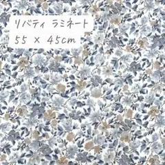 Item thumbnail for item 7f8b5119-93be-4b13-81f4-252dcb1a018d