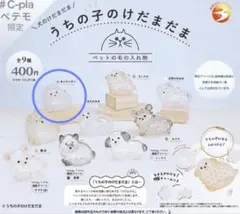うちの子のけだまだま　ポメラニアン