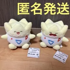 いろんなかお　ポケットモンスター　トゲピー　2体