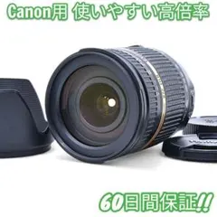 Item thumbnail for item 6c06fcea-6411-45a0-a5ae-f7b242ac3c39