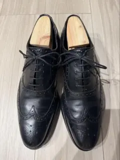 SCOTCH GRAIN スコッチグレイン F745 ウイングチップ 25㎝ - メルカリ