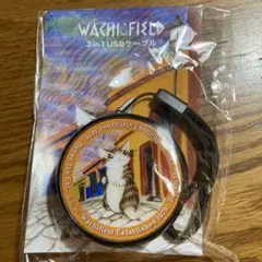 値下げ　ダヤン 3in1 USBケーブル　オアハカ　わちふぃーるど