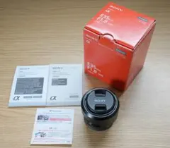 SEE様 リクエスト 2点 まとめ商品