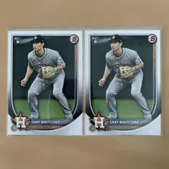 Item thumbnail for item 2fd1337b-42c8-46ec-8fc0-96c430d1060b