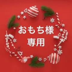 おもち様専用