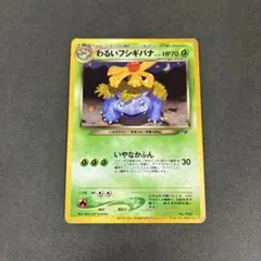 2026年最新】わるいフシギバナの人気アイテム - メルカリ