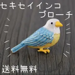 青　鳥　ブローチ　セキセイインコ　真鍮　ピン　文鳥　帯留