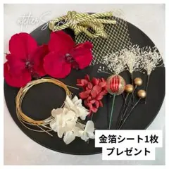 【金箔シート付】胡蝶蘭 成人式 髪飾り 結婚式 卒業式 前撮り 水引