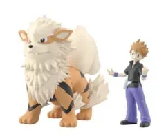 即日発送フィギュアコレクション ウィンディ 151ポケモンカード - メルカリ