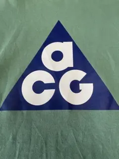 NIKE・ナイキ ACG トライアングルロゴ スウェットトレーナー グリーンXS