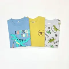 子供服 男の子 長袖Tシャツ まとめ売り 110cm 新品 恐竜 FWN132
