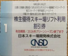 リフト券 スキー場