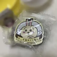 ちいかわ　くら寿司 マグネットシート2個セット　うさぎ&あのこ